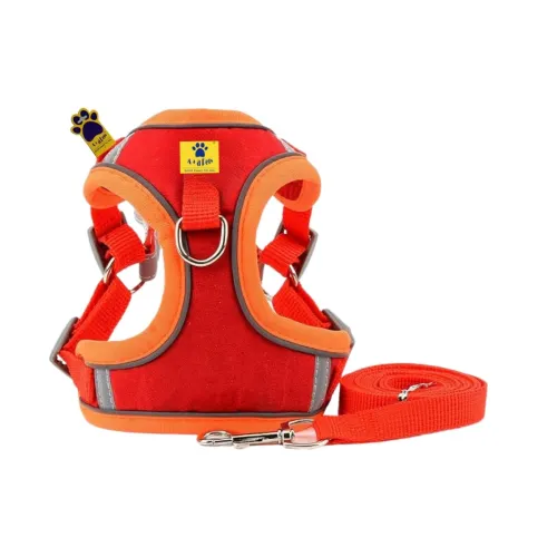 Image of A+a Pets' Suede Harness & Leash Set 