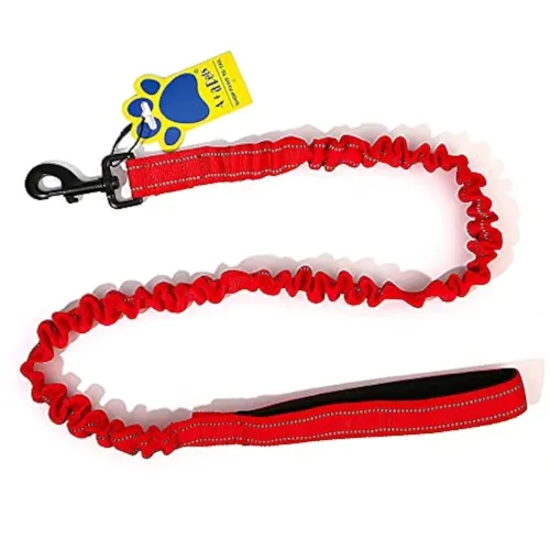 Image of A+a Pets' No Pull Bungee Leash.