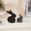 amazon basics Home Décor Ceramic Rabbit Figurines