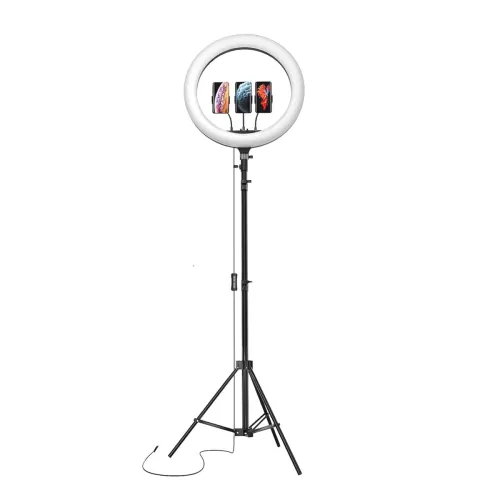 Image of Amazon Basics LED Ring Light (14-inch) with Tripod Stand