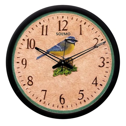 Image of Amazon Brand - Solimo 12-inch Plastic & Glass Wall Clock