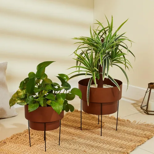 Image of Amazon Brand - Solimo Metal Planter Set of 2