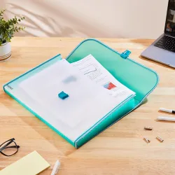 Amazon Brand - Solimo Semi Transparent Expanding File Folder with 13 Pockets