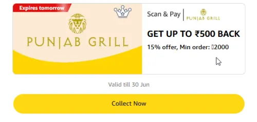 Image of Amazon Offer: 15% Cashback upto ₹500 on Punjab Grill Store
