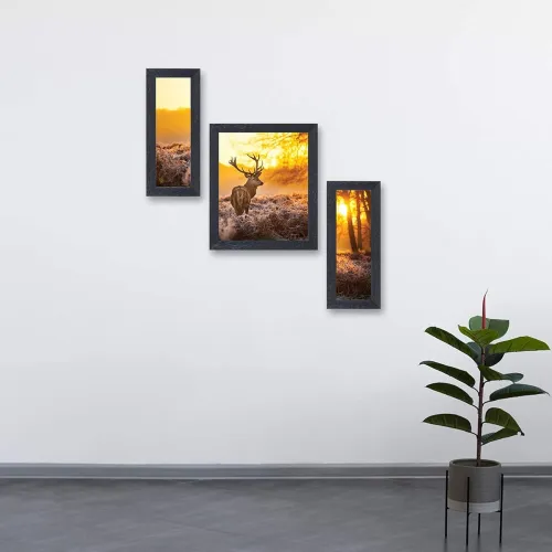Image of Amazon Solimo Antler Painting, set of 3.