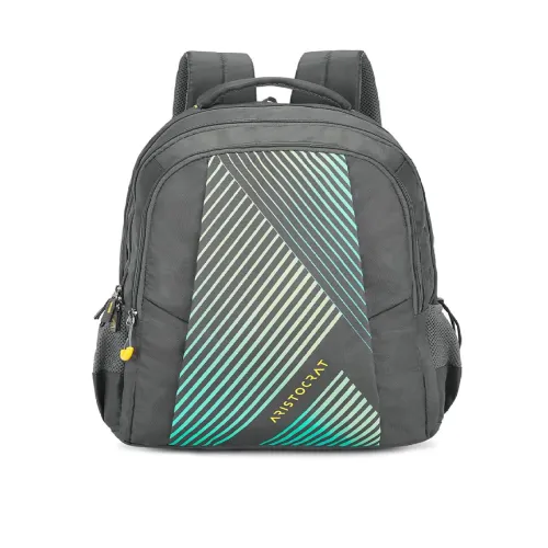 Image of Aristocrat Unisex Grey & Green Striped Backpack