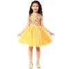 A.T.U.N. Girls Sleeveless Embroidered Party Dress