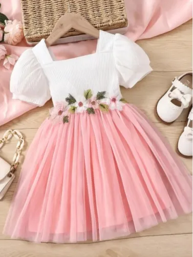 Image of BAESD Flutter Sleeve Net Puff Sleeves Fit & Flare Dress