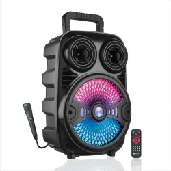 CARWAAN 30W 8inch Bluetooth Party Speaker
