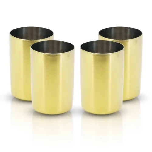 Image of Dr. WaterR Stainless Steel Amrapali Glass Set