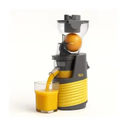 DSP Cold Press Whole Slow Juicer 250W