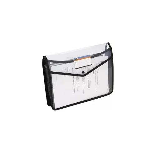 Image of ECLET Transparent A4 Size Document File with Snap Button, Set of 1