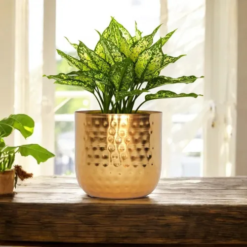Image of ecofynd 5 Inch Ivara Metal Plant Pots