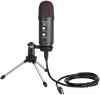 Gamma Audio GA-YR06 Condenser Microphone