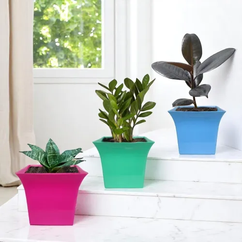 Image of Go Hooked Plastic Planter Pots (Set of 3)