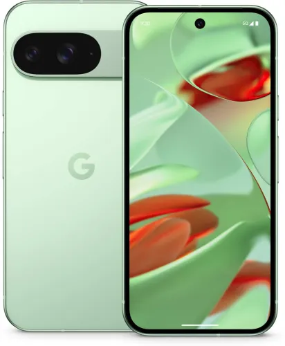 Image of Google Pixel 9 (12/256)