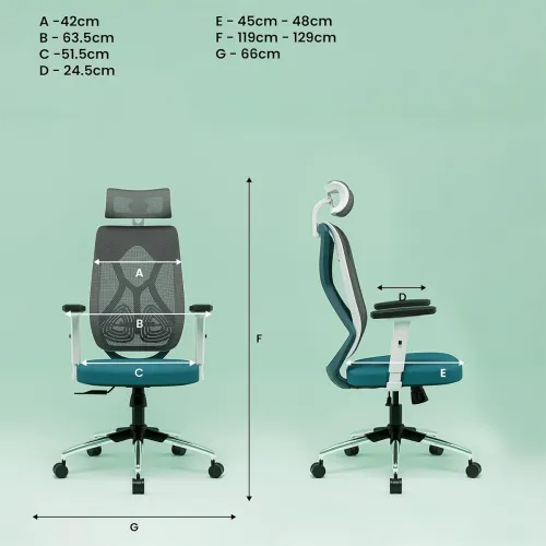 Image of GREEN SOUL Zodiac Lite Ergonomic Chair (High Back, Mesh, 1D Armrest)