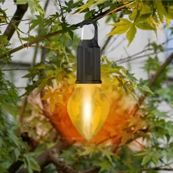 Groeien Rechargeable, Vintage Light Bulbs