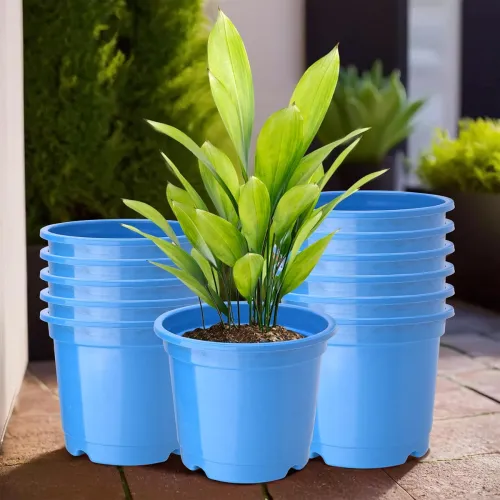 Image of Heart Home Flower Pot (Pack of 12)