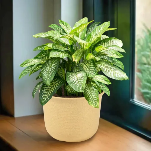 Image of Heart Home 10-Inch Marble Design Plant Pot with Plate – Beige