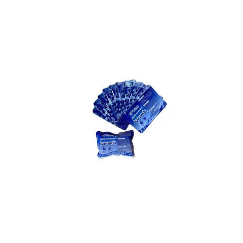 Image of Ice Pack, Gel Bag (Pack of 10) Automatic Water Absorption Cold Pack, 9x12 cm