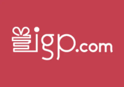 Image of IGP Coupon : 20% off on Minimum Purchase Value of ₹1199 with BOB Debit Cards