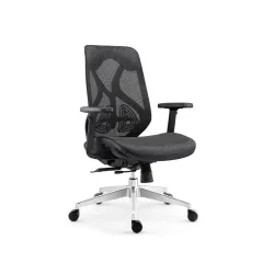 INNOWIN Berlin Ergonomic Medium Back Mesh Chair for Office & home