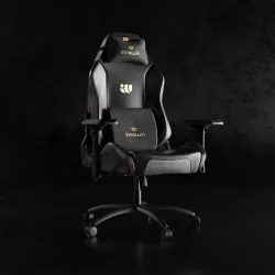 INNOWIN Blaze Ultimate Ergonomic Multi-Functional Gaming Chair with 4D Adjustable Arms and 180° Tilt Butterfly