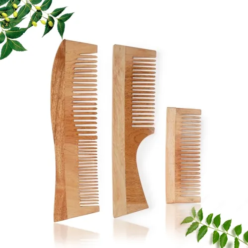 Image of INSIME Neem Wooden Comb Set for Women & Men