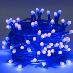Lexton 40LED Power Pixel String light