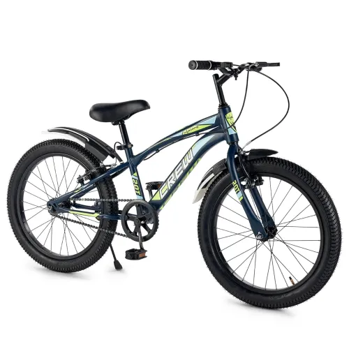 Image of Lifelong 20T Cycle for Kids