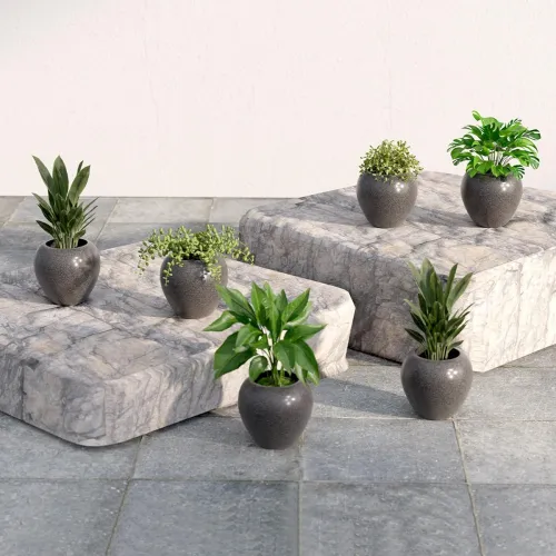 Image of Lifelong Set of 6 Home Decor for Living Room & Balcony 