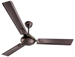 LONGWAY Kiger P1 1200 mm/48 inch
