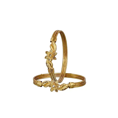 Image of Lucky Jewellery Gold Plated Floral Design 2 Pcs Bangles Set for Women (294-J1BG-264-2-PARENT)