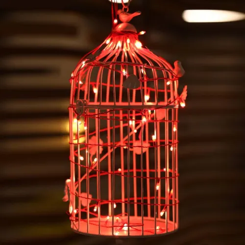Image of MACARIZE 30 LEDs 9.96 m Red Steady String Rice Lights