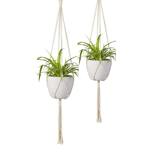 Image of Macrame Plant Hanger [Without Pot]
