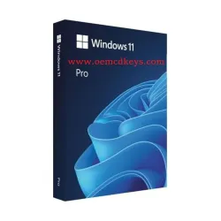 Microsoft Windows 11 Pro Genuine Lifetime Retail License Key