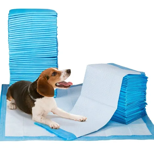 Image of Nootie Training Pads 25 Count with 60X45cm