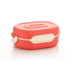 OLMARTT Leak-Proof 2-Compartment Lunch Box – Multicolor