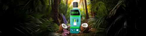 Image of One Credit Card Coupon: Get flat 10% off on Beco