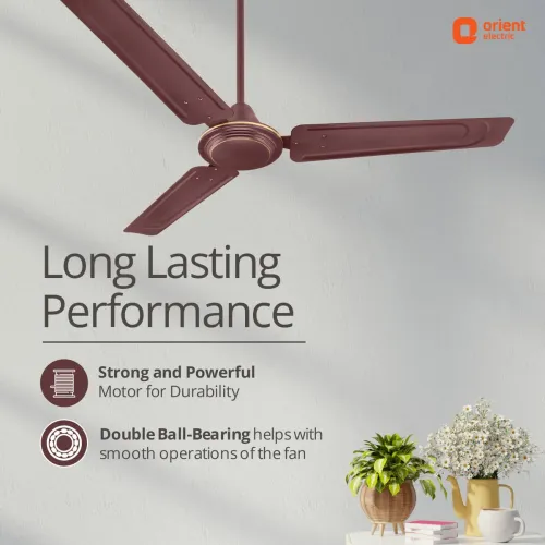 Image of Orient Electric Ujala Air 1 Star 1200 mm 3 Blade Ceiling Fan (Brown | Pack of 1).
