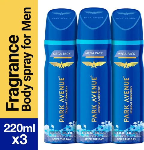 Image of PARK AVENUE Cool Blue Deodorant Spray 660ml pack of 3