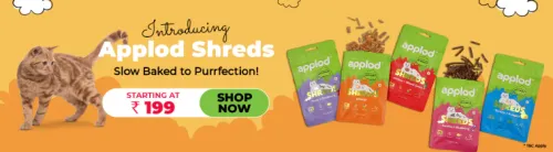 Image of Petsy Offer : Applod Shreds Starting at ₹199