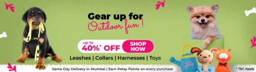 Image of Petsy Offer : Upto 40% off on Toys