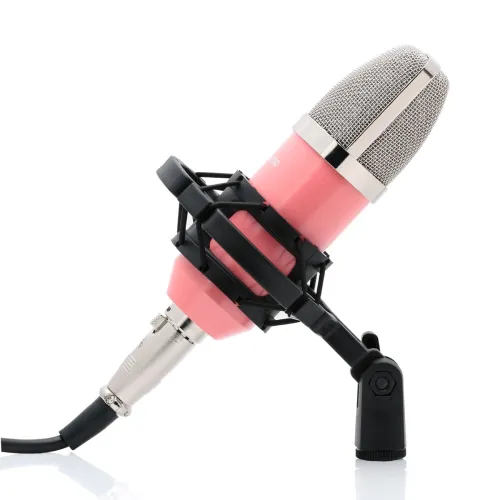 Image of Powerpak BM-700 Studio Mic
