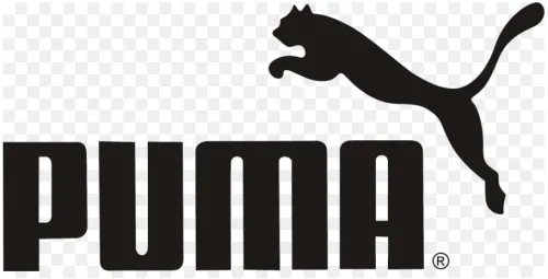 Image of Puma Offer : Save 10% Off on Order Above ₹4499