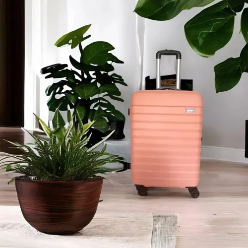 Image of SAFARI Large Check-in Suitcase (77 cm) 4 Wheels