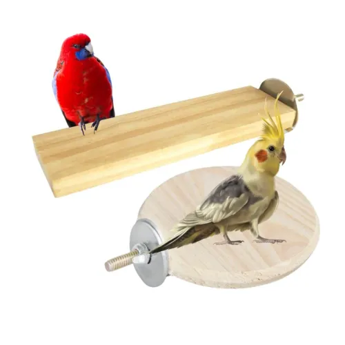 Image of Sage Square Bird Wooden Circle Stand