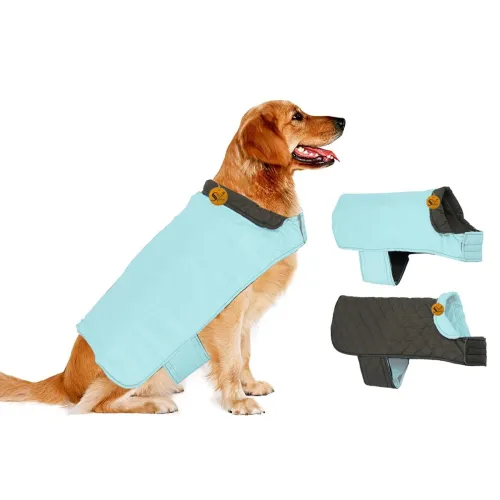 Image of Sage Square Dog 2 in 1 Stylish Revesible Cozy Jakcet Winter Outfit