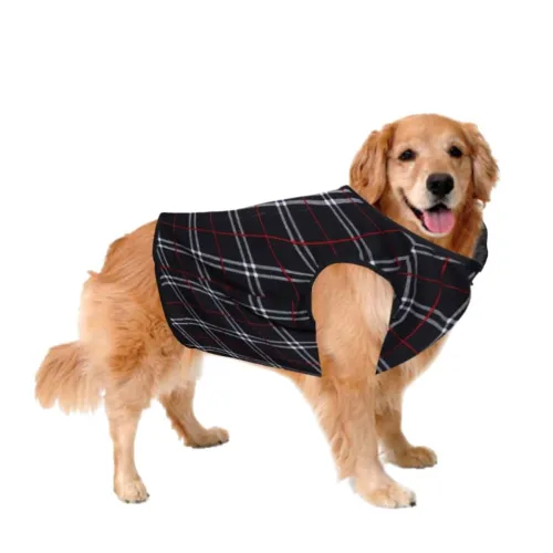 Image of Sage Square Dog T-Shirt (XXSmall - 10 inch)